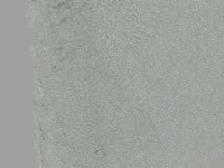 Magnetic domains on silicon steel surface