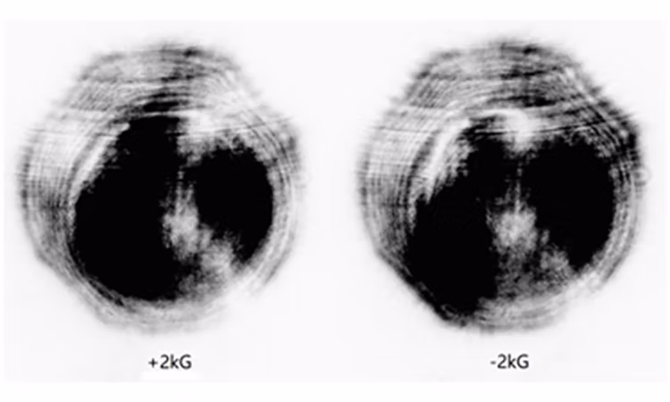 Surface MOKE microscope observation